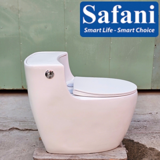 Bồn cầu trứng xả hông SA2234