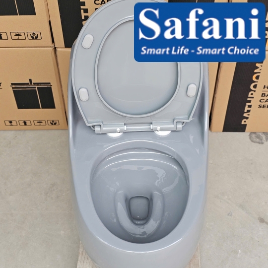 Bồn cầu 1 khối màu xám 2888