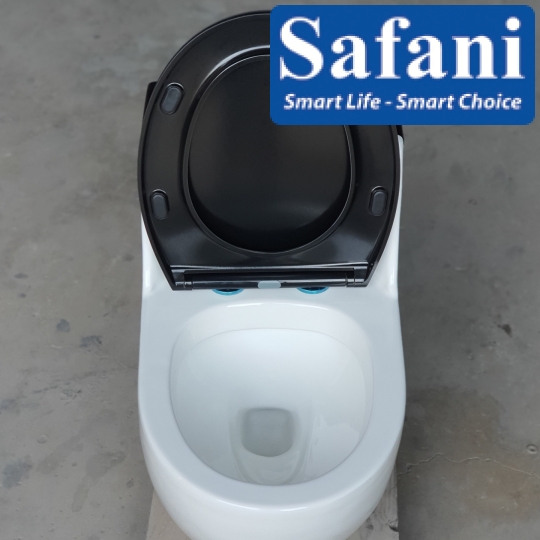Bồn cầu 1 khối SA2210