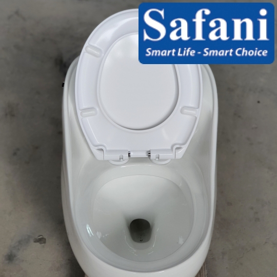 Bồn cầu 1 khối SA9252