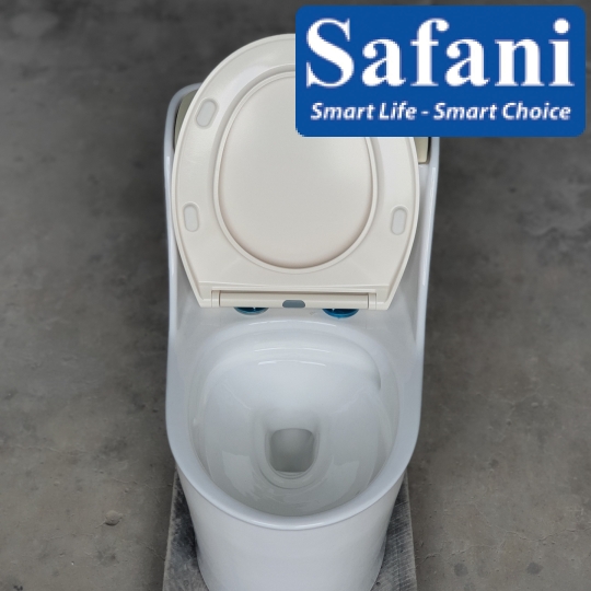 Bồn cầu 1 khối SA2215